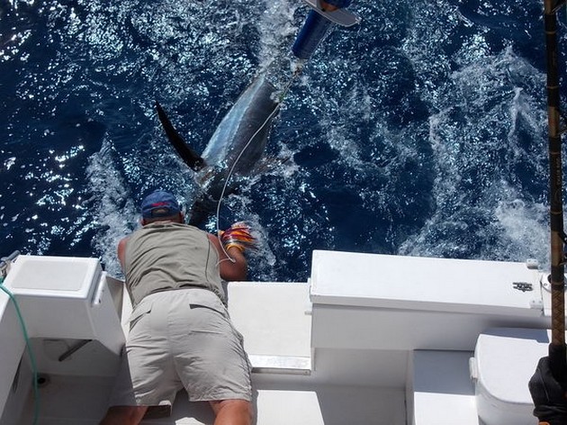 Hookie Hookie Picu Cavalier & Blue Marlin Sport Fishing Gran Canaria