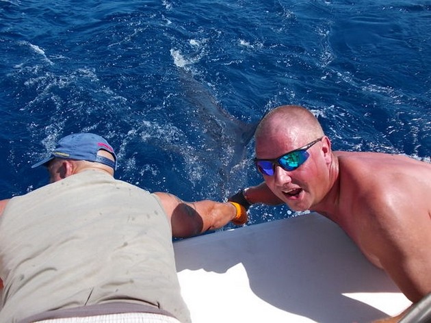 Hookie Hookie Picu Cavalier & Blue Marlin Sport Fishing Gran Canaria