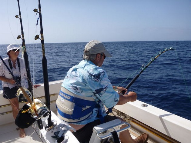 3 Blues + 1 Vit Cavalier & Blue Marlin Sport Fishing Gran Canaria