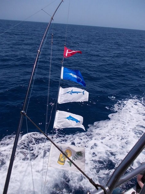 release me Cavalier & Blue Marlin Sport Fishing Gran Canaria