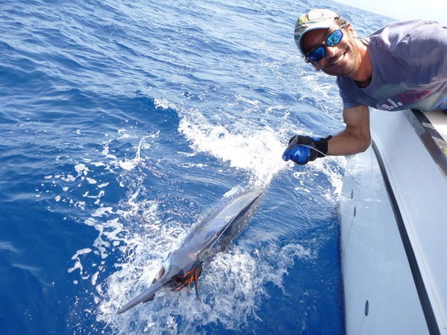 Release Me Cavalier & Blue Marlin Sport Fishing Gran Canaria