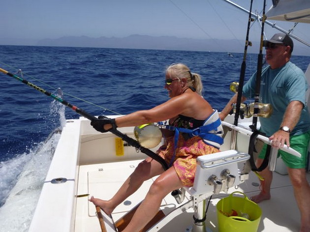 Hooked up Cavalier & Blue Marlin Sport Fishing Gran Canaria