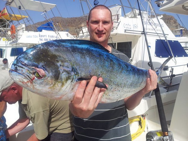 Dorado Cavalier & Blue Marlin Sport Fishing Gran Canaria