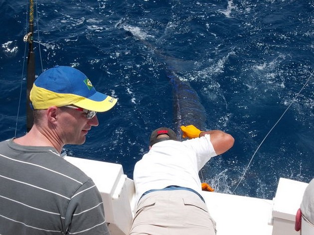 Tag & Release Cavalier & Blue Marlin Sport Fishing Gran Canaria