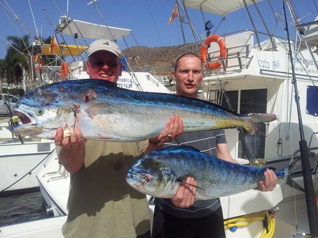 Dorado's Cavalier & Blue Marlin Sport Fishing Gran Canaria