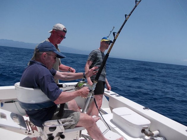 Fighting Cavalier & Blue Marlin Sport Fishing Gran Canaria