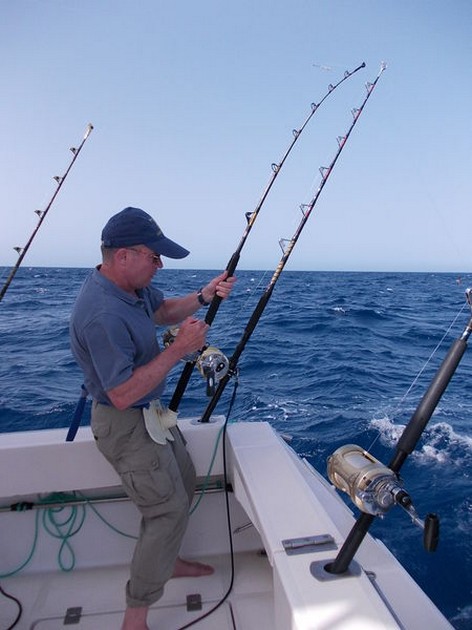 Hooked up Cavalier & Blue Marlin Sport Fishing Gran Canaria