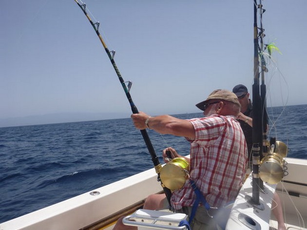hooked up Cavalier & Blue Marlin Sport Fishing Gran Canaria
