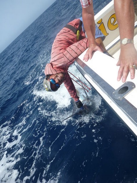 Blue Marlin Cavalier & Blue Marlin Sport Fishing Gran Canaria