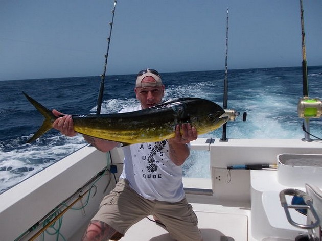 Dorado Cavalier & Blue Marlin Sport Fishing Gran Canaria