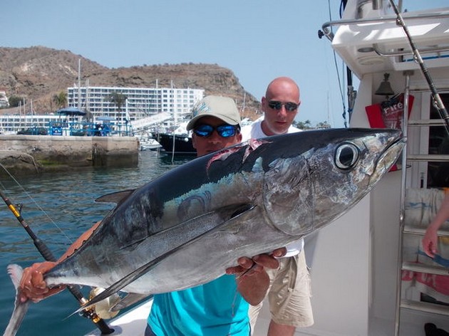 Albacore Tuna Cavalier & Blue Marlin Sport Fishing Gran Canaria