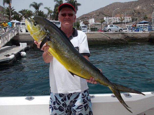 Dorado Cavalier & Blue Marlin Sport Fishing Gran Canaria