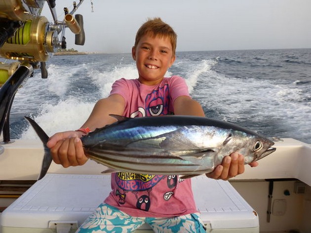 Skipjack Tuna Cavalier & Blue Marlin Sport Fishing Gran Canaria