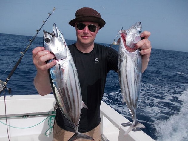 Skipjack Tuna's Cavalier & Blue Marlin Sport Fishing Gran Canaria