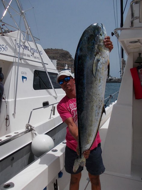 16/07 Dorado Cavalier & Blue Marlin Sport Fishing Gran Canaria