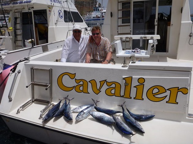 Skipjack Tuna's Cavalier & Blue Marlin Sport Fishing Gran Canaria