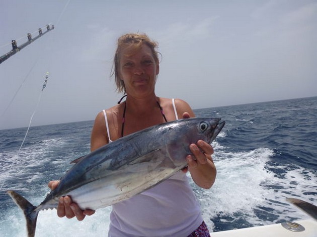 Skipjacks i farten Cavalier & Blue Marlin Sport Fishing Gran Canaria