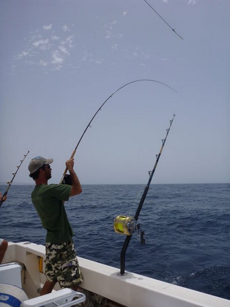 Fly Fishing Cavalier & Blue Marlin Sport Fishing Gran Canaria