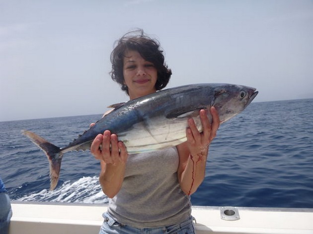 Skipjack Tuna Cavalier & Blue Marlin Sport Fishing Gran Canaria
