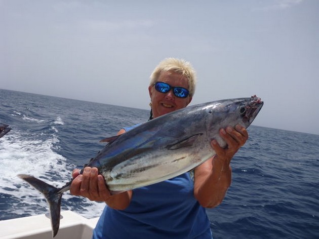 Skipjack Tuna Cavalier & Blue Marlin Sport Fishing Gran Canaria