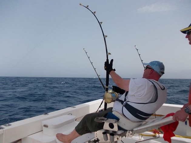 Hooked up Cavalier & Blue Marlin Sport Fishing Gran Canaria