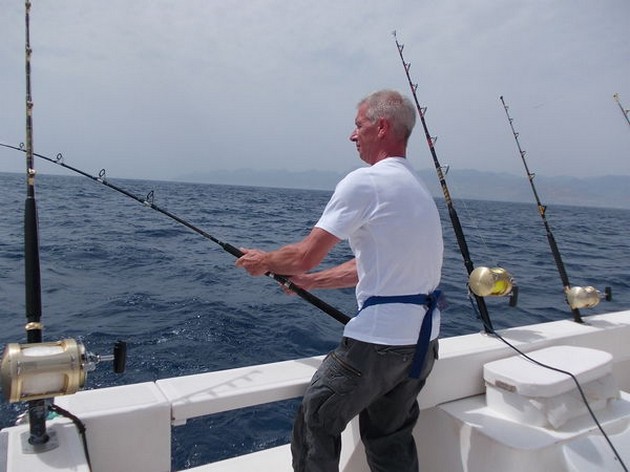 hooked up Cavalier & Blue Marlin Sport Fishing Gran Canaria