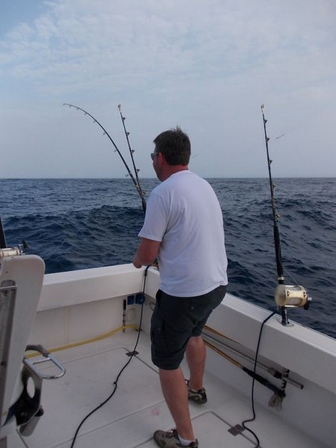light tackle fishing Cavalier & Blue Marlin Sport Fishing Gran Canaria