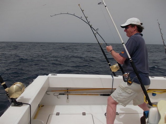 Hooked up Cavalier & Blue Marlin Sport Fishing Gran Canaria