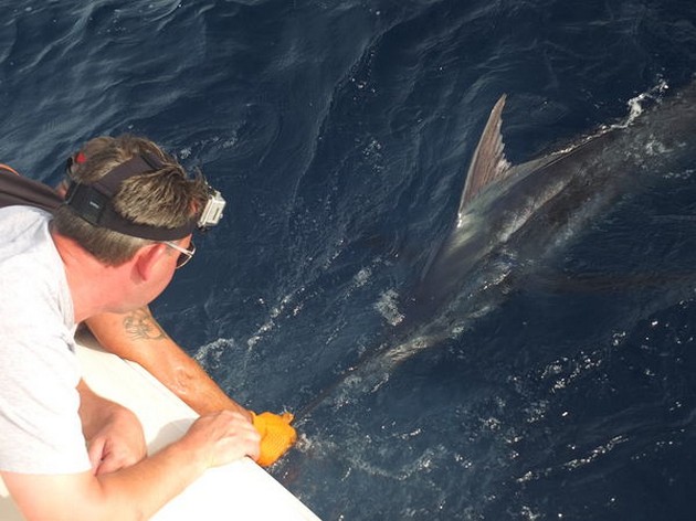 23/07 Blue Marlin Cavalier & Blue Marlin Sport Fishing Gran Canaria