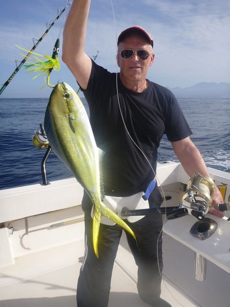 Dorado Cavalier & Blue Marlin Sport Fishing Gran Canaria