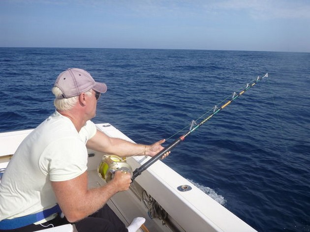 Hooked up Cavalier & Blue Marlin Sport Fishing Gran Canaria