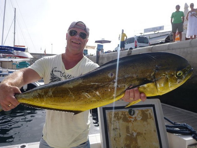 Dorado Cavalier & Blue Marlin Sport Fishing Gran Canaria
