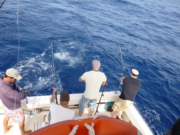 Triple Cavalier & Blue Marlin Sport Fishing Gran Canaria
