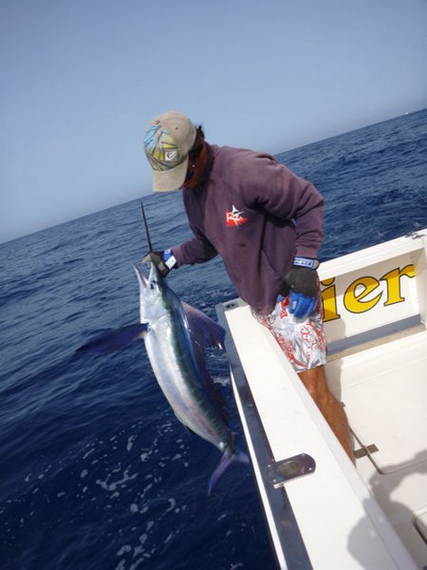 Welcome aboard Cavalier & Blue Marlin Sport Fishing Gran Canaria