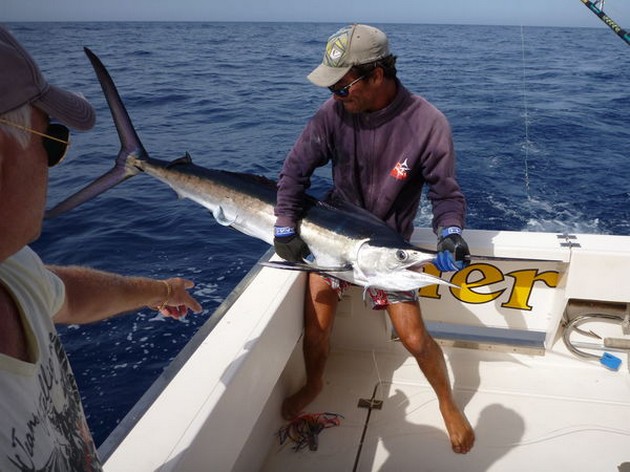 Great Catch Cavalier & Blue Marlin Sport Fishing Gran Canaria