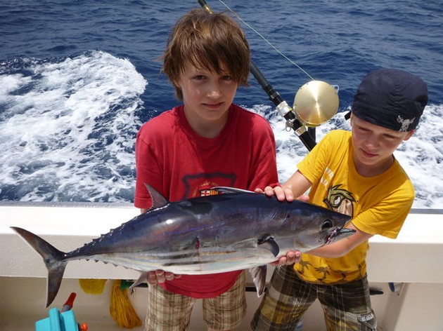 Skipjack Tuna Cavalier & Blue Marlin Sport Fishing Gran Canaria