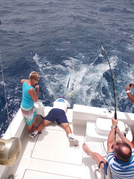 02/08 Release me Cavalier & Blue Marlin Sport Fishing Gran Canaria