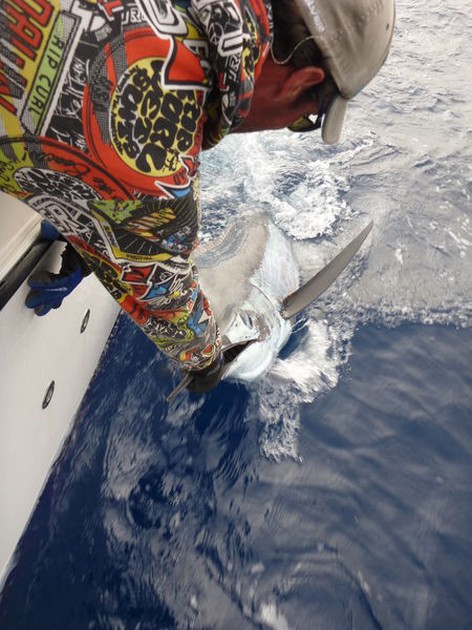 Release Me Cavalier & Blue Marlin Sport Fishing Gran Canaria