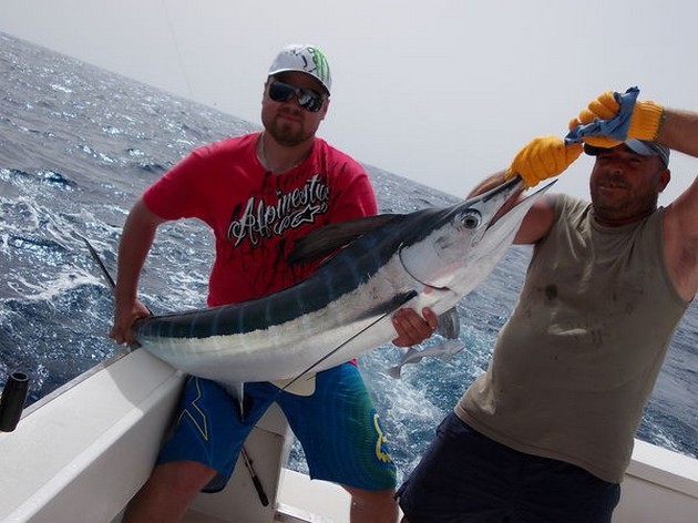04/08 Well done Cavalier & Blue Marlin Sport Fishing Gran Canaria