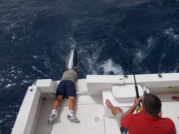 Release Me Cavalier & Blue Marlin Sport Fishing Gran Canaria