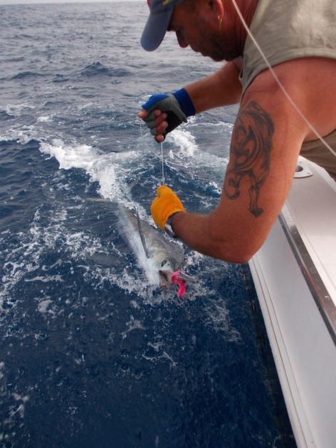 Release Me Cavalier & Blue Marlin Sport Fishing Gran Canaria