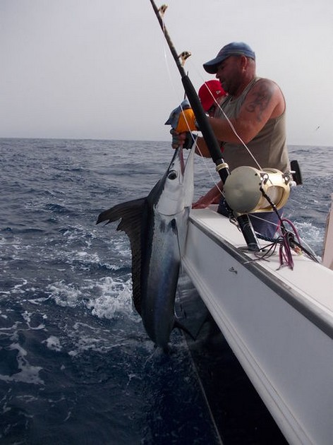 Welcome aboard Cavalier & Blue Marlin Sport Fishing Gran Canaria