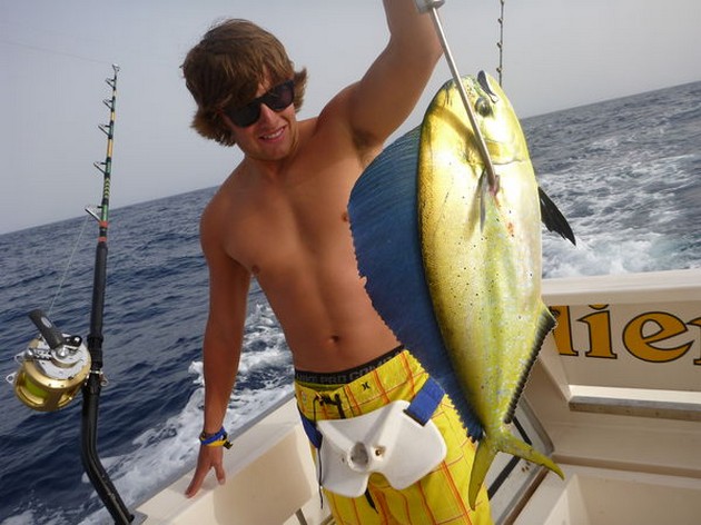 Dorado Cavalier & Blue Marlin Sport Fishing Gran Canaria