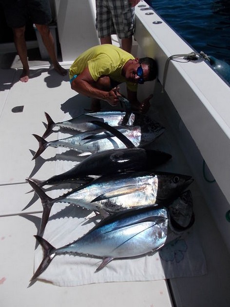 Nice Catch Cavalier & Blue Marlin Sport Fishing Gran Canaria