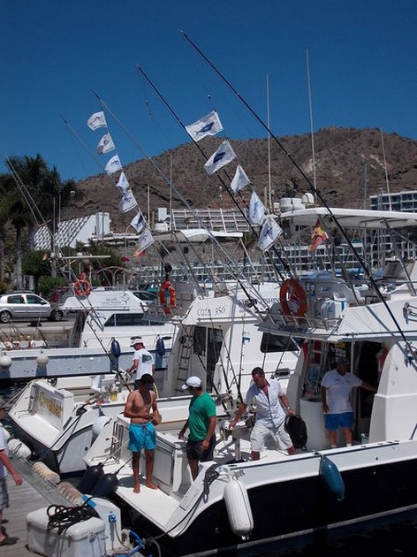 Tuna Flags Festival Cavalier & Blue Marlin Sport Fishing Gran Canaria