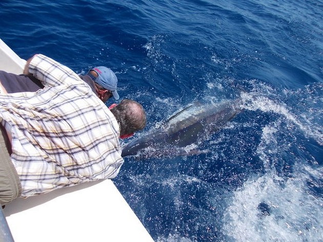 Tag & Release Cavalier & Blue Marlin Sport Fishing Gran Canaria