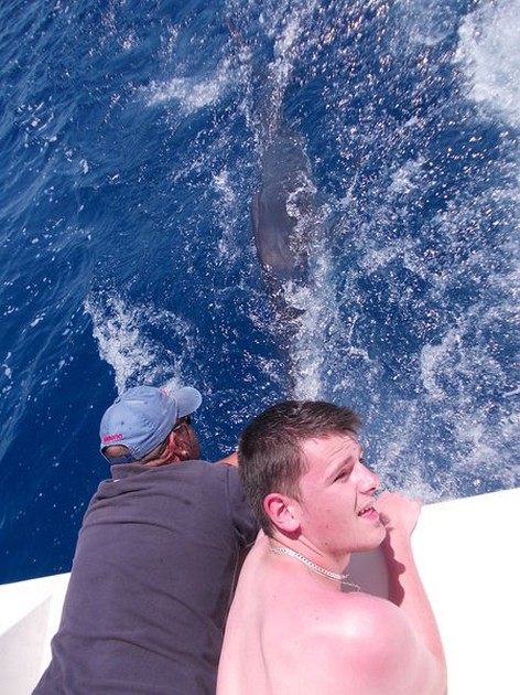 Tag & Release Cavalier & Blue Marlin Sport Fishing Gran Canaria