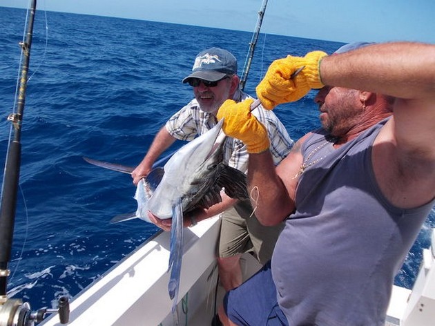 Welcome onboard Cavalier & Blue Marlin Sport Fishing Gran Canaria