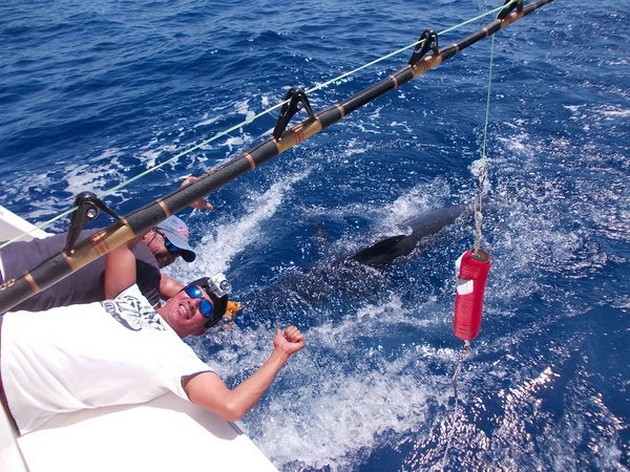 Flabbergasted Cavalier & Blue Marlin Sport Fishing Gran Canaria
