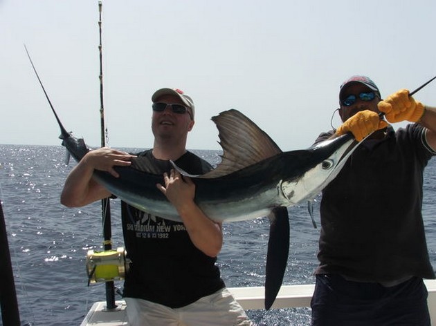 White Marlin Cavalier & Blue Marlin Sport Fishing Gran Canaria